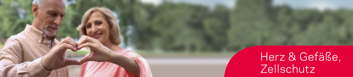 Herz, Gefäße, Nerven